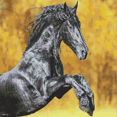 Finished sparkling diamond painting