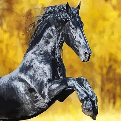 Diamond painting kit before starting