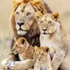 Lion family diamond painting kit — majestic lion, lioness, and cubs together