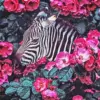 Zebra with pink flowers diamond painting kit — zebra portrait surrounded by pink blossoms