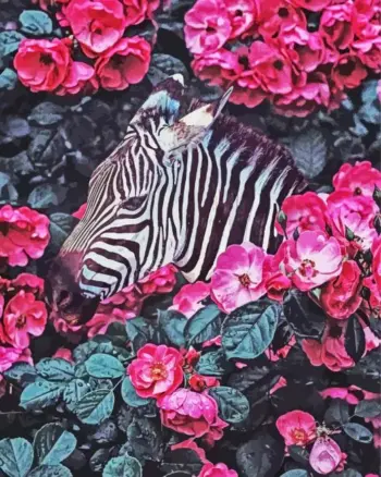 Zebra with pink flowers diamond painting kit — zebra portrait surrounded by pink blossoms