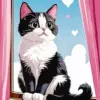 Black and white kitten diamond painting kit — adorable young cat artwork