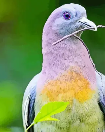 Colorful Columbidae diamond painting kit — vibrant pigeon with colorful feather details