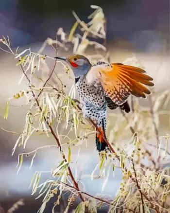 Flicker Red-Shafted diamond painting kit — colorful woodpecker with detailed plumage