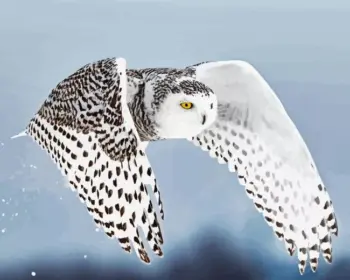 Flying snowy owl diamond painting kit — white owl soaring with wings spread