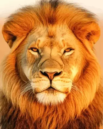 Golden Hour Lion diamond painting kit — majestic lion glowing in golden sunset light