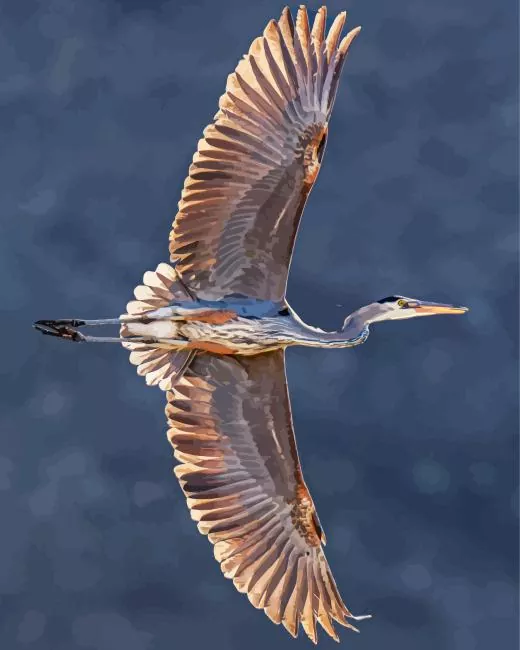 Great Blue Heron in Flight Diamond Painting Kits Great Blue Heron in Flight diamond painting kit — heron soaring with wings fully spread