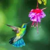 Green hummingbird diamond painting kit — vibrant green hummingbird surrounded by fuchsia flowers