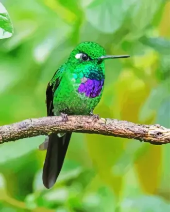 Green hummingbird diamond painting kit — vibrant hummingbird perched on a natural branch