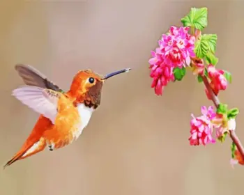 Rufous Hummingbird diamond painting kit — small hummingbird with vibrant copper-orange feathers