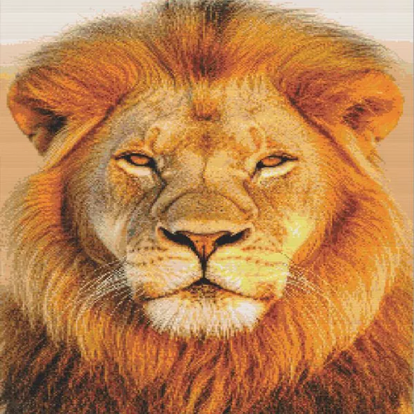Sunset lion diamond painting kit