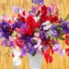 Sweet pea vase diamond painting kit — colorful sweet pea flowers arranged in a vase