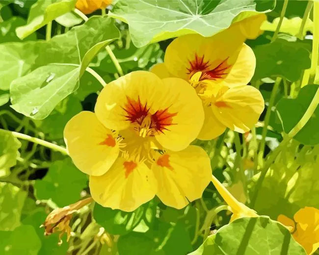 Yellow Nasturtium Diamond Painting Kit Yellow nasturtium diamond painting kit — vibrant yellow nasturtium blooms
