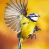 Blue tit diamond painting kit — colorful blue tit captured in flight