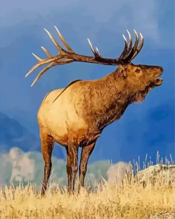 Bull elk diamond painting kit — antlered elk calling across a mountain landscape