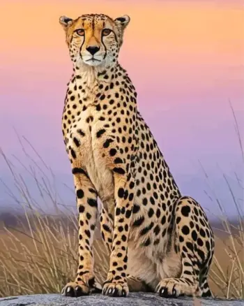 Cheetah diamond painting kit — seated cheetah beneath a pastel dusk sky