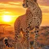 Cheetah diamond painting kit — spotted cheetah overlooking the African savanna at sunset