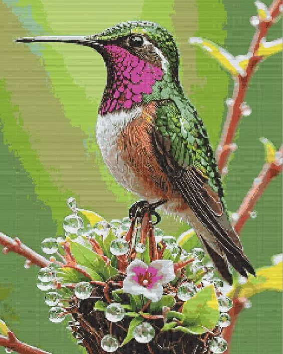 Colorful Hummingbird Diamond Painting Kit