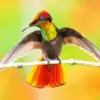 Colorful hummingbird diamond painting kit — vibrant hummingbird perched on branch with wings spread