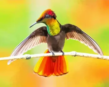 Colorful hummingbird diamond painting kit — vibrant hummingbird perched on branch with wings spread