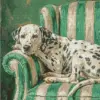 Dalmatian dog diamond painting kit | spotted dog portrait