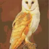 Golden owl diamond painting kit — masked owl with rich golden feathers