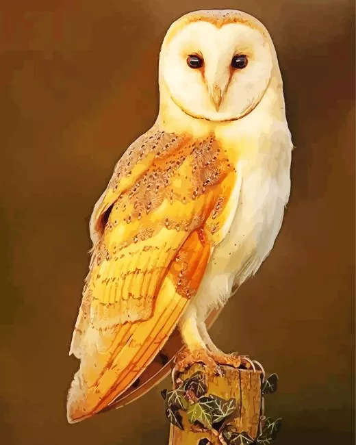 Golden Masked Owl Diamond Painting Kits Golden owl diamond painting kit — masked owl with rich golden feathers