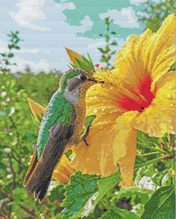 Hummingbird and Yellow Hibiscus Diamond Painting Kit