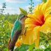 Hummingbird diamond painting kit — hummingbird hovering beside a yellow hibiscus flower