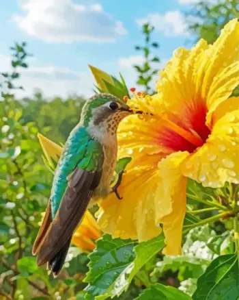 Hummingbird diamond painting kit — hummingbird hovering beside a yellow hibiscus flower