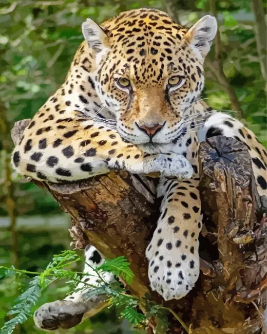 Leopard Resting on a Tree Diamond Painting Kit