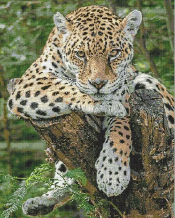 Leopard Resting on a Tree Diamond Paints
