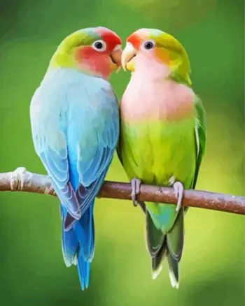 Lovebirds diamond painting kit — colorful pair of lovebirds perched together on a branch