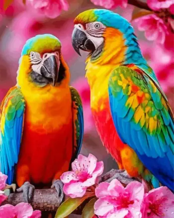 Macaw diamond painting kit — colorful macaws surrounded by pink blossoms