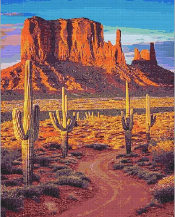 Monument Valley with Cactus Diamond Paints