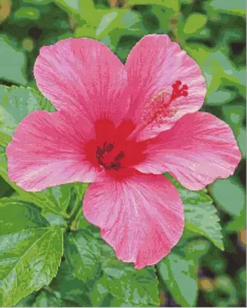 Pink hibiscus diamond painting kit — vibrant pink tropical flower with delicate petals