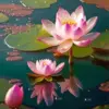 Pink water lilies diamond painting kit — pink blossoms and lily pads on a peaceful pond