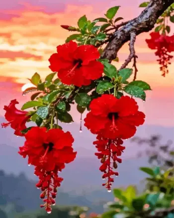 Red hibiscus diamond painting kit — vibrant tropical flower glowing at sunset