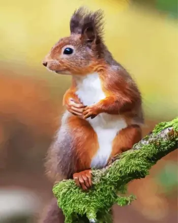 Red squirrel diamond painting kit — squirrel perched on a green mossy branch