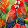 Scarlet Macaw Lovebirds diamond painting kit — colorful pair of scarlet macaws perched closely together