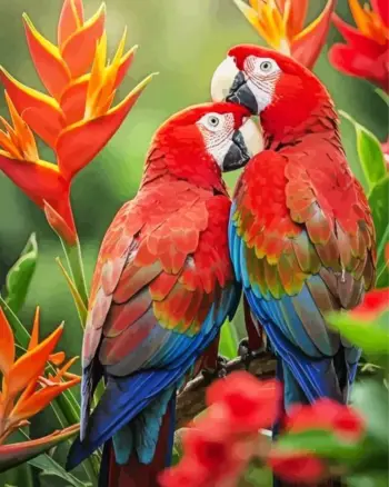 Scarlet Macaw Lovebirds diamond painting kit — colorful pair of scarlet macaws perched closely together