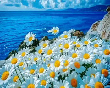 Seaside daisies diamond painting kit — white daisies blooming beside the ocean