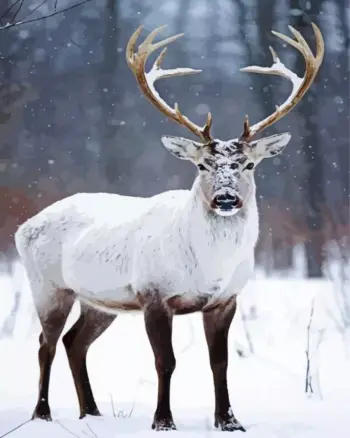 Reindeer diamond painting kit — antlered reindeer standing in a snowy winter forest