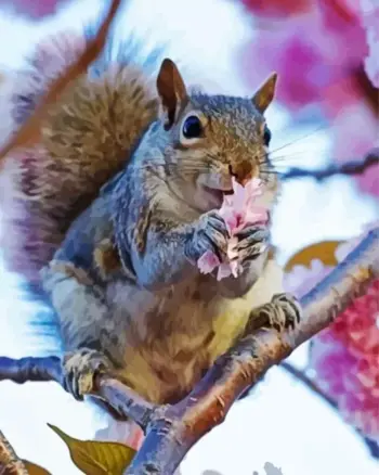 Squirrel diamond painting kit — cute squirrel surrounded by pink cherry blossoms