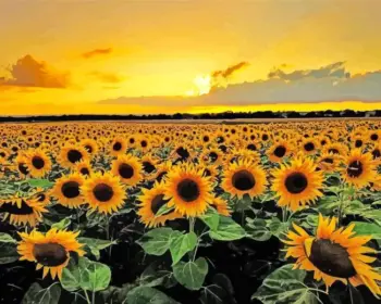 Sunflower field diamond painting kit — golden sunflowers beneath a glowing sunset sky