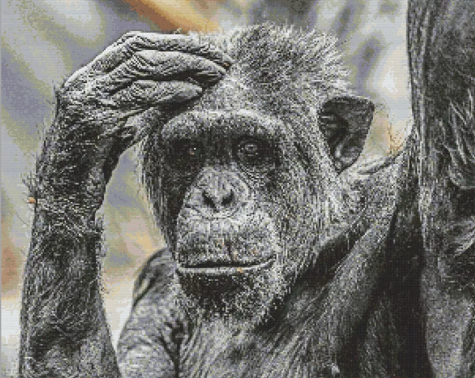 Thoughtful Chimpanzee Diamond Painting Kit