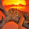 Tiger diamond painting kit — tiger resting on a tree beneath a glowing sunset