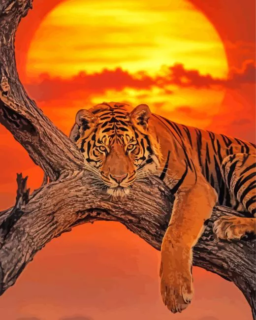 Tiger at Sunset Diamond Painting Kits Tiger diamond painting kit — tiger resting on a tree beneath a glowing sunset