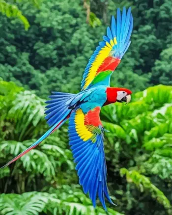 Tropical macaw in flight diamond painting kit — colorful macaw flying with wings spread