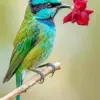 Turquoise bird diamond painting kit — colorful bird beside a red flower